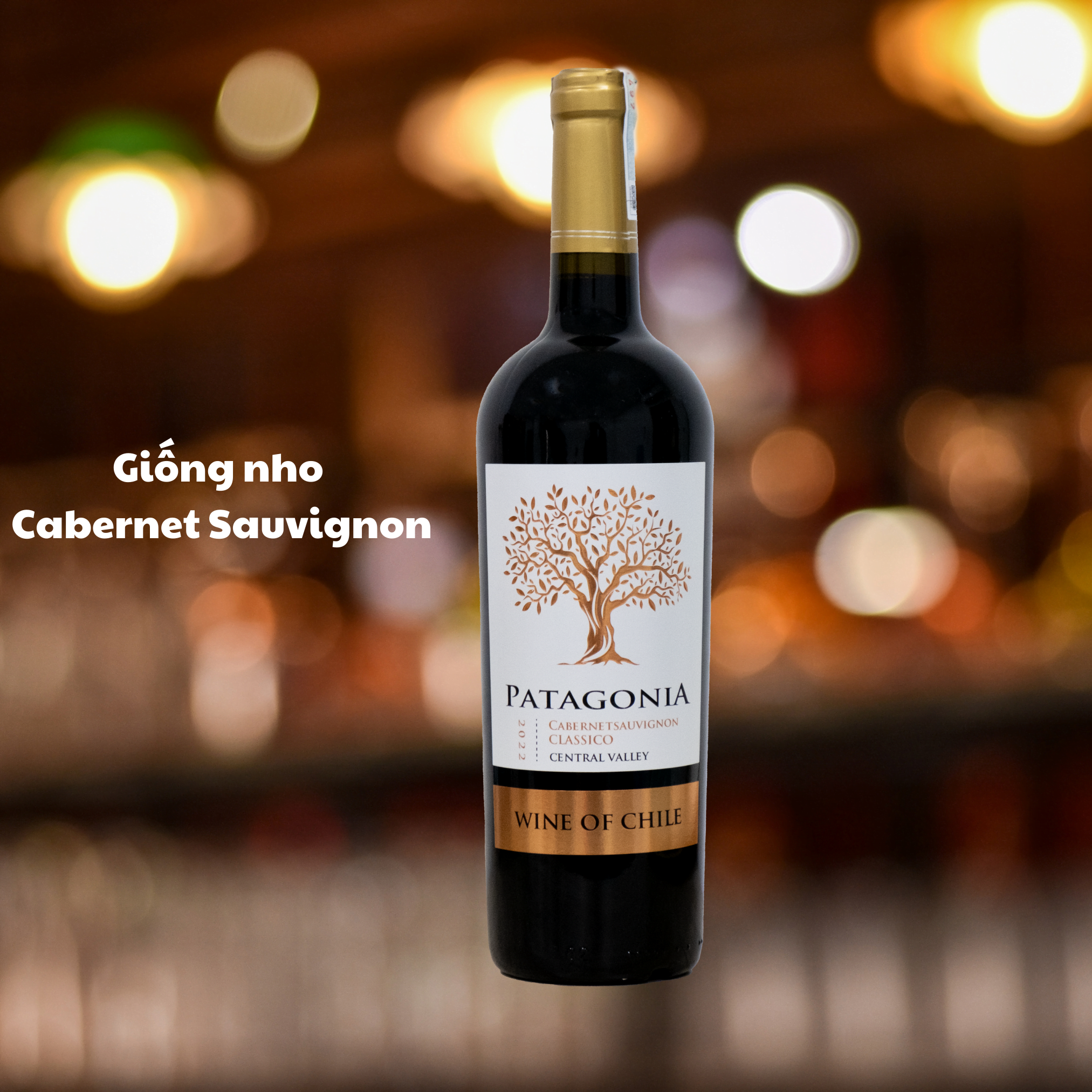 Rượu vang đỏ Patagonia