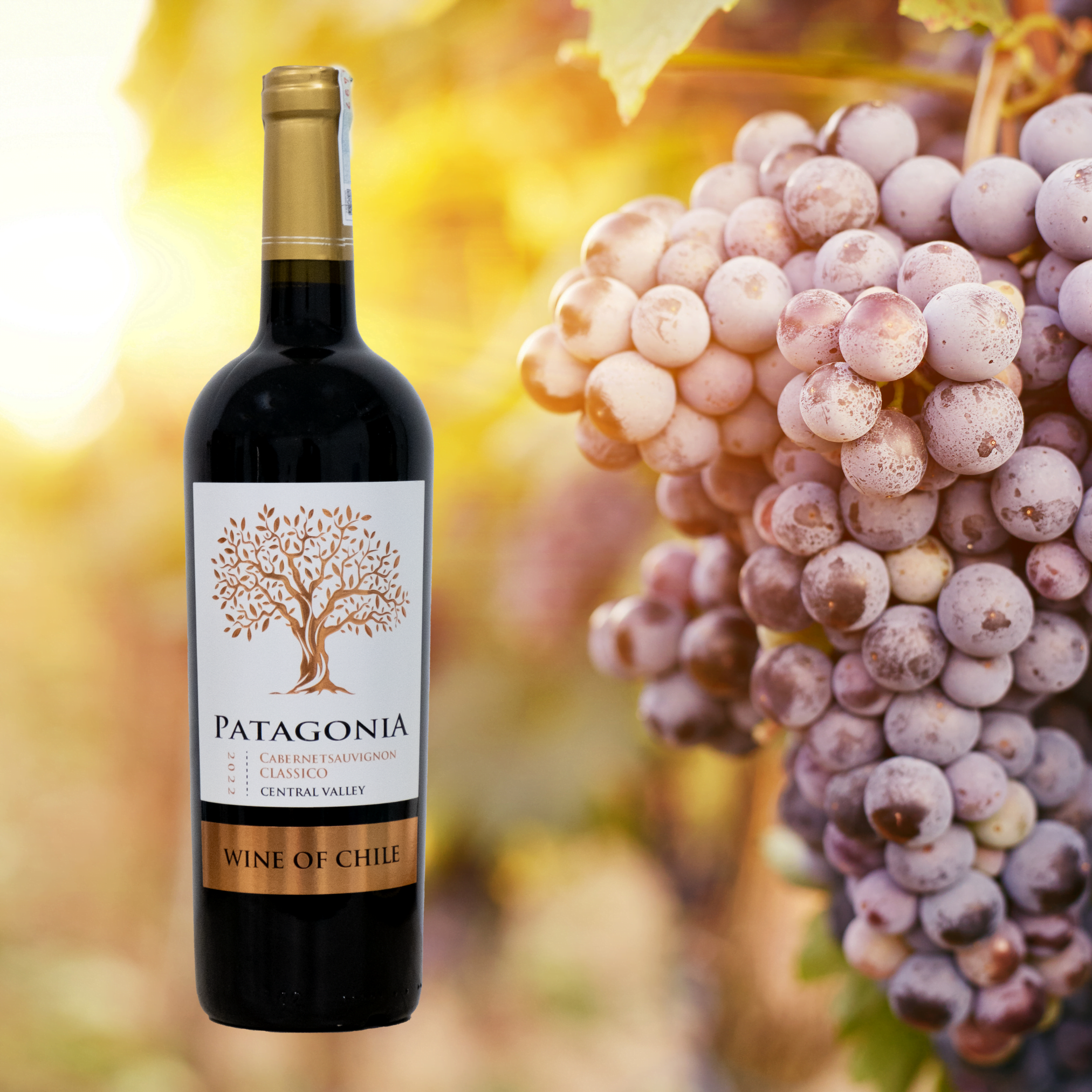 Rượu vang đỏ Patagonia